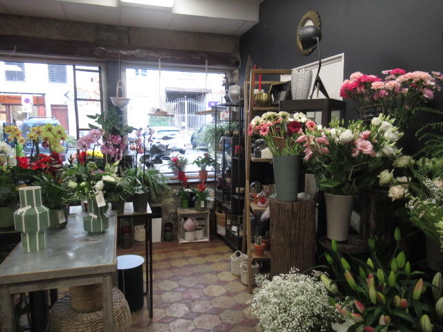 Appartement - 55 m² - 2 pièces