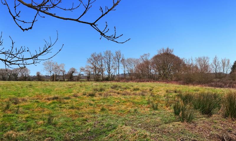 Propriété - 280 m² - 8 pièces