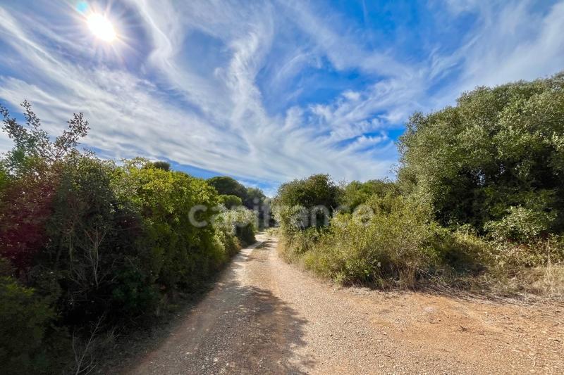 Terrain agricole - 1 200 m²