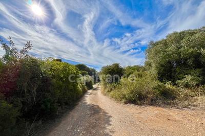 Terrain agricole - 1 200 m²