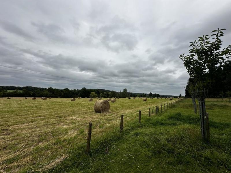 Terrain - 57 753 m²