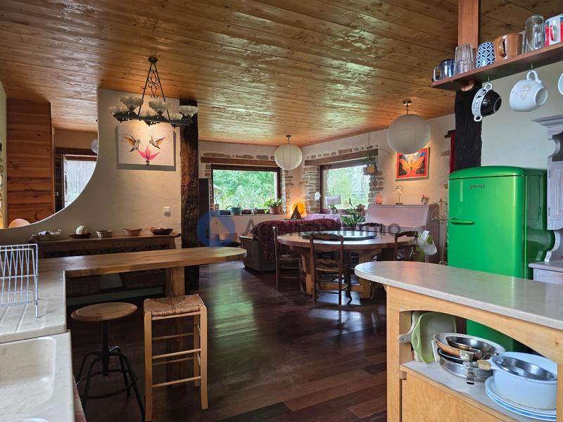 Maison ancienne - 273 m² - 9 pièces