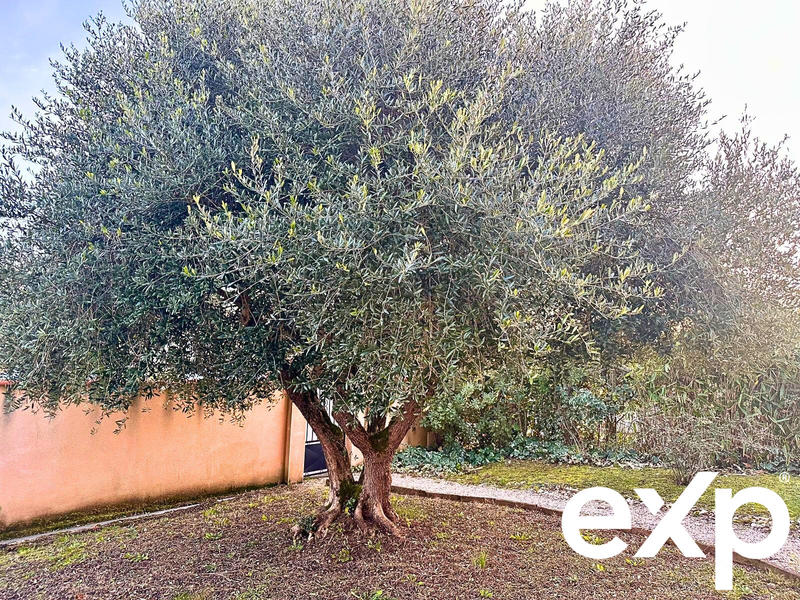 Maison - 170 m² - 9 pièces