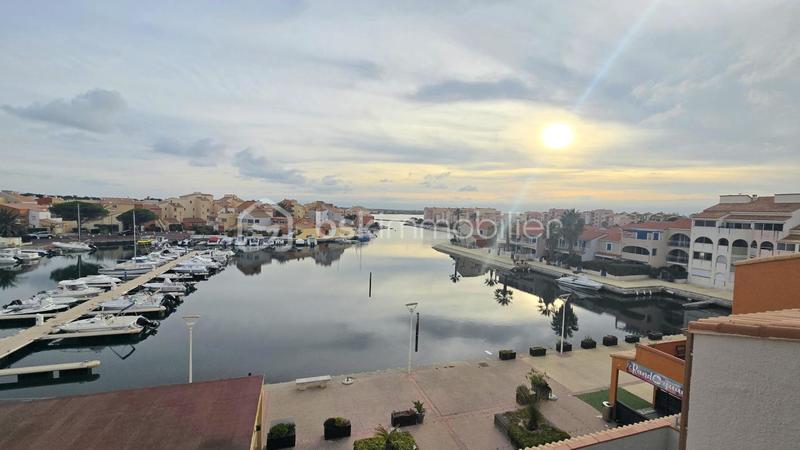 Studio - 25 m² - 1 pièce