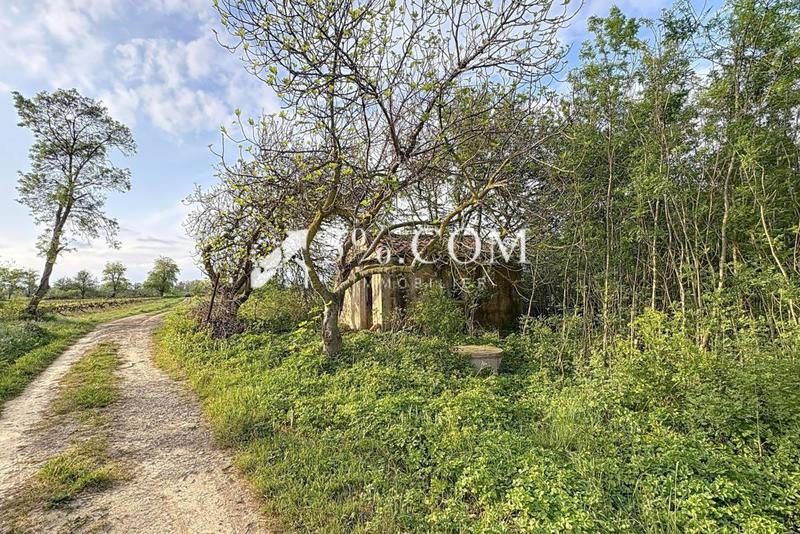 Terrain de loisirs - 4 558 m²