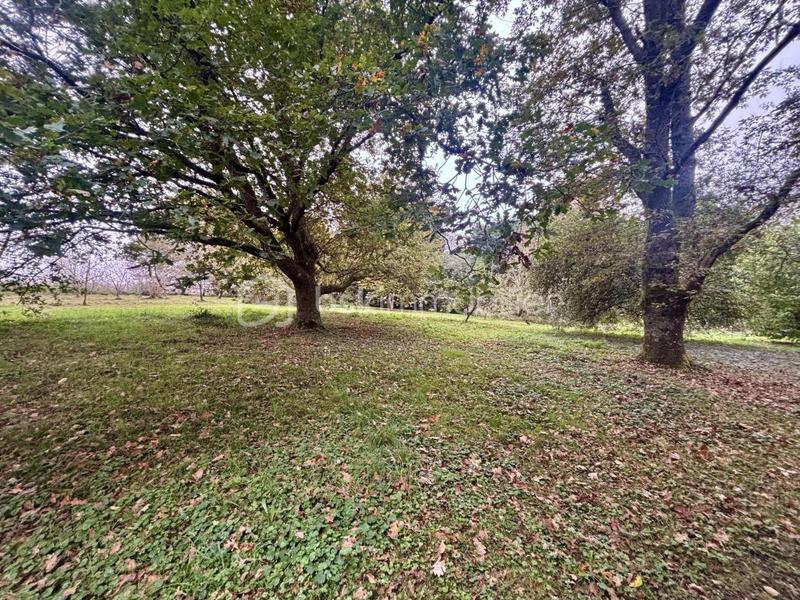 Maison ancienne - 129 m² - 5 pièces