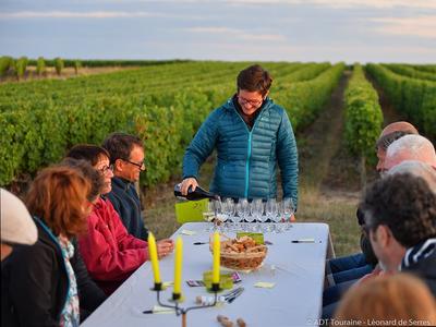 Dans les vignes au crépuscule