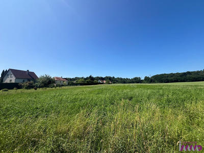 Terrain - 481 m²