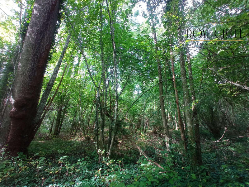 Terrain de loisirs - 4 800 m²