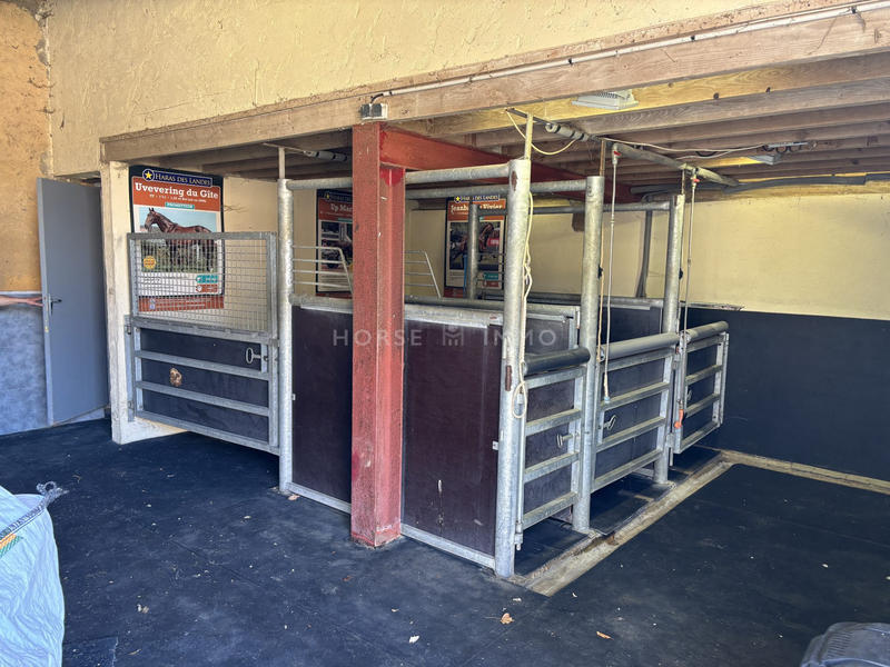 Maison - 310 m² - 7 pièces