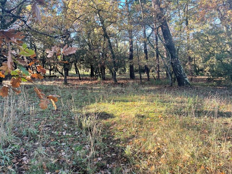 Maison - 85 m² - 3 pièces