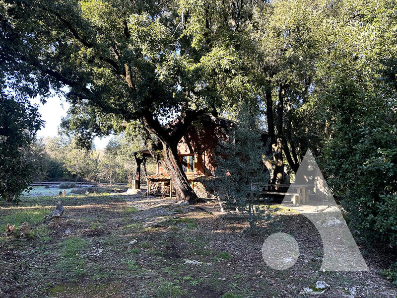 Maison - 24 m² - 2 pièces