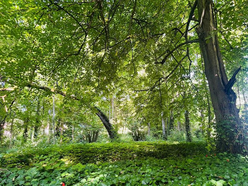 Maison - 359 m² - 11 pièces