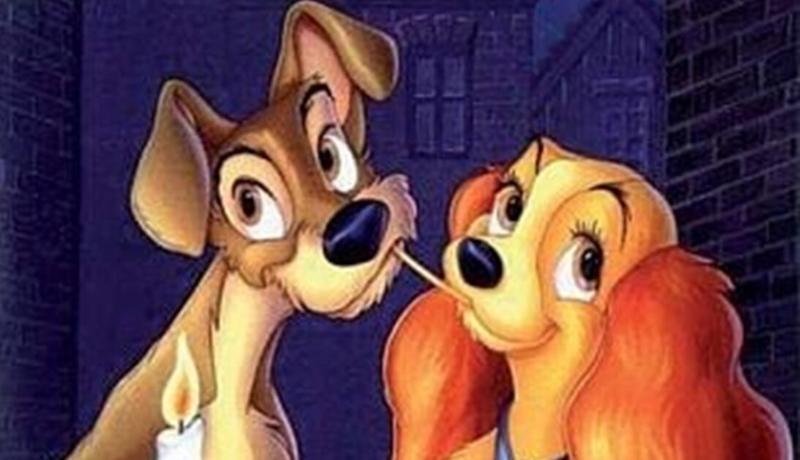 Tous au ciné ! - la belle et le clochard