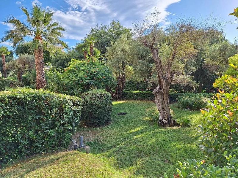 Appartement - 55 m² - 2 pièces