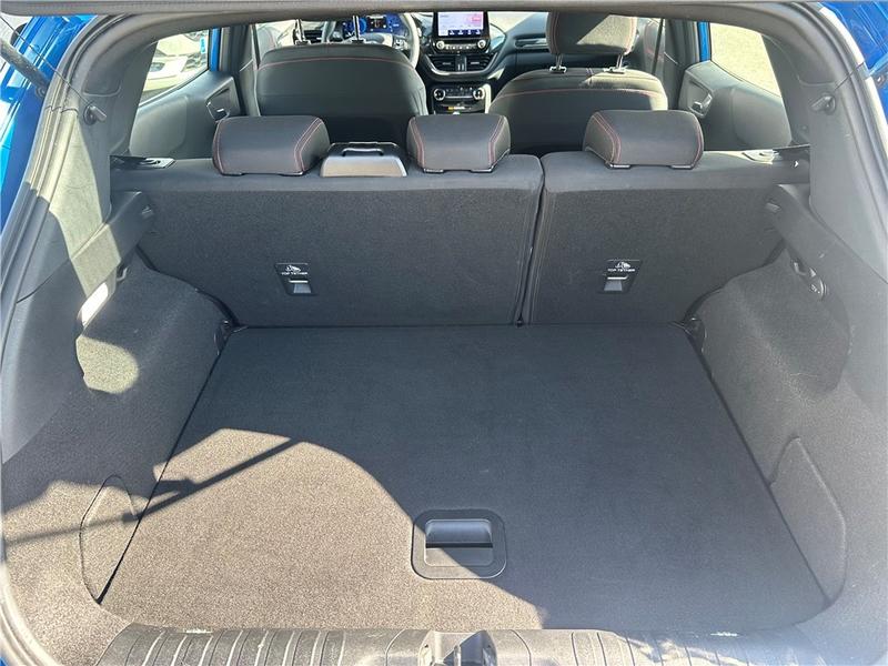 Ford Puma II 1.0 Flexifuel 125 Ch Mhev s&amp;S Bvm6 Titanium Business