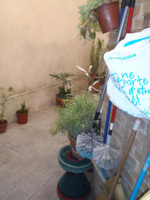 Local commercial - 59 m² - 1 pièce