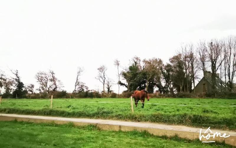 Maison ancienne - 110 m² - 6 pièces