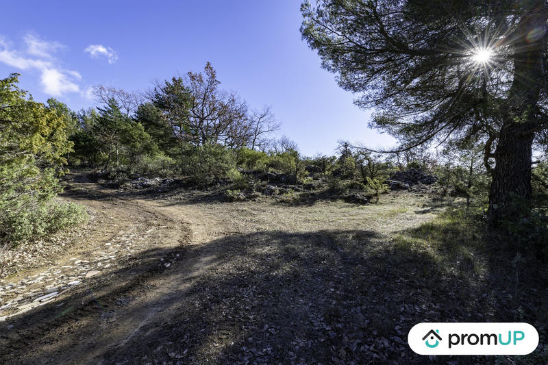 Terrain de loisirs - 28 250 m²