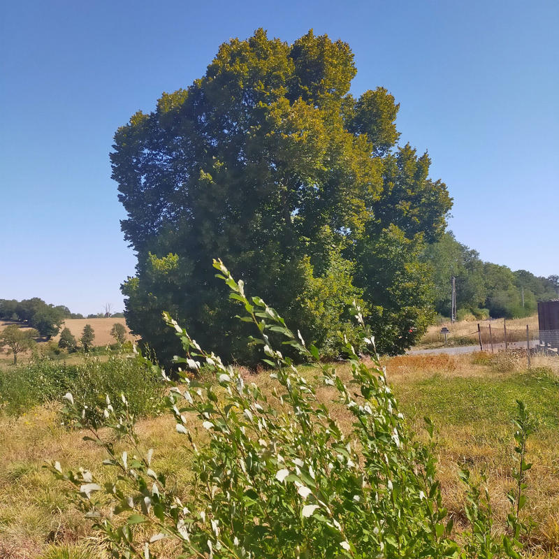 Maison - 67 m² - 4 pièces