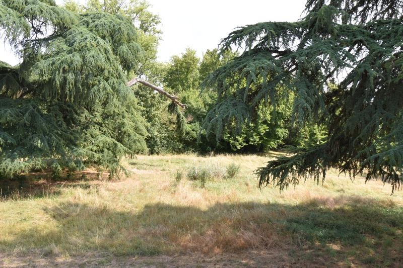 Appartement - 77 m² - 4 pièces