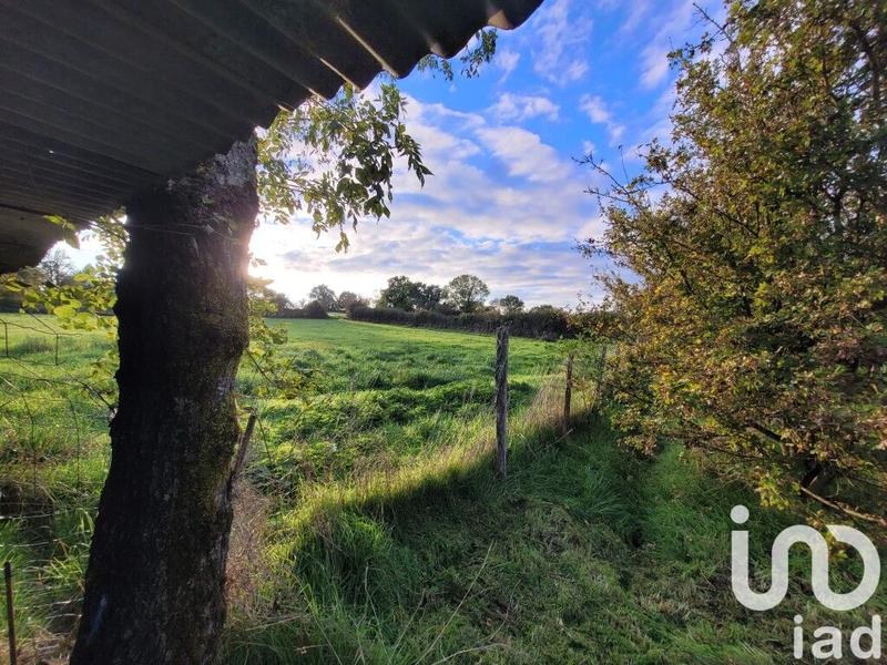 Maison de campagne - 60 m² - 3 pièces