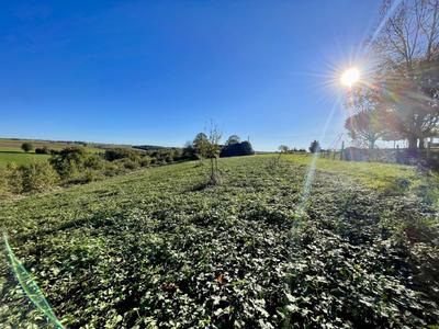 Terrain constructible - 11 232 m²