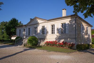 Château - 600 m² - 19 pièces