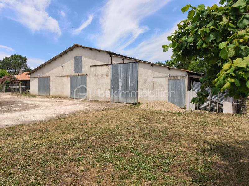 Maison - 315 m² - 3 pièces