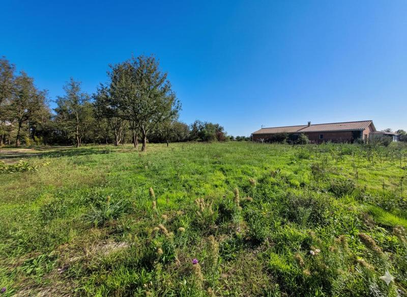 Terrain - 1 050 m²