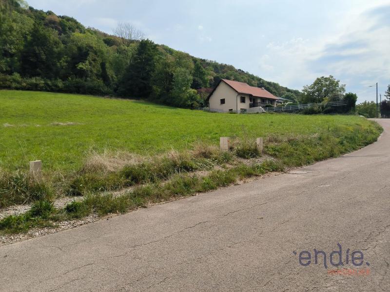 Terrain - 5 150 m²