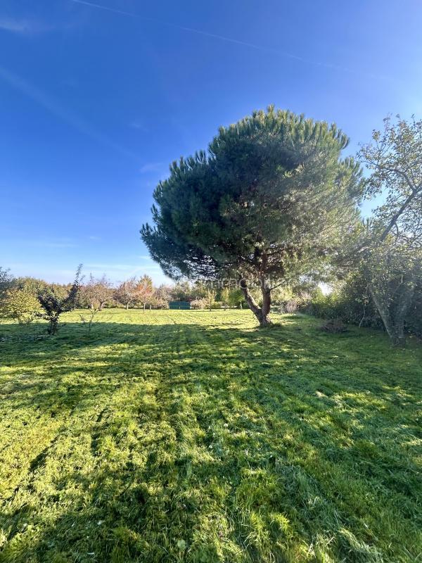 Maison de village - 182 m² - 6 pièces