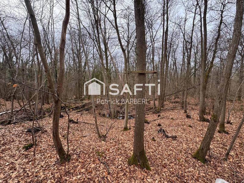 Terrain - 58 000 m²