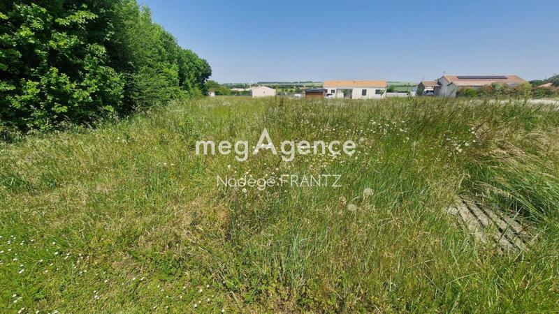 Terrain constructible - 1 028 m²
