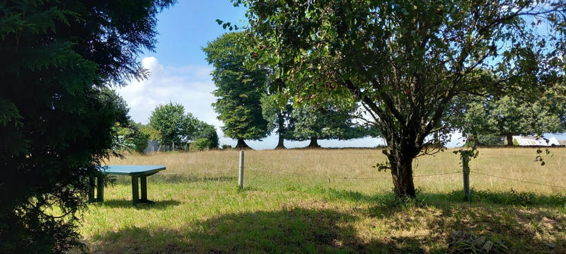 Maison - 55 m² - 3 pièces