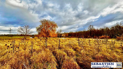Terrain - 3 920 m²