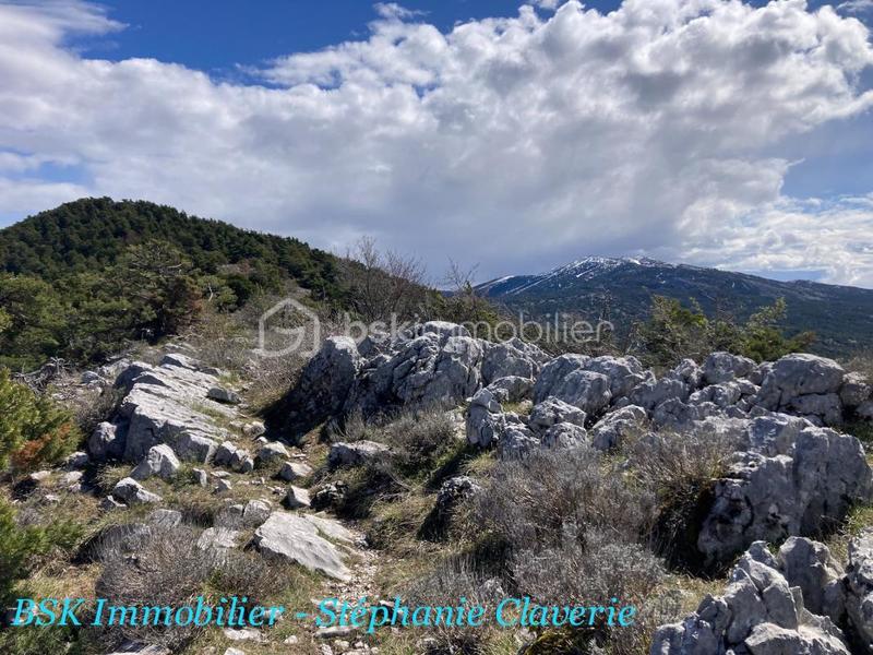 Terrain agricole - 10 100 m²