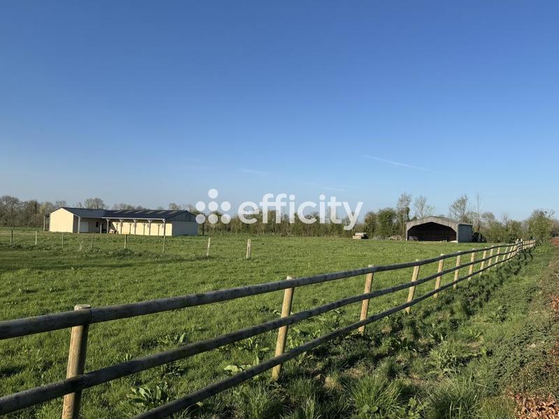 Maison - 40 m² - 2 pièces