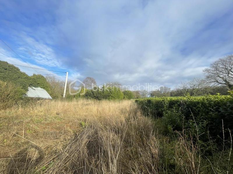 Maison en pierre - 56 m² - 3 pièces