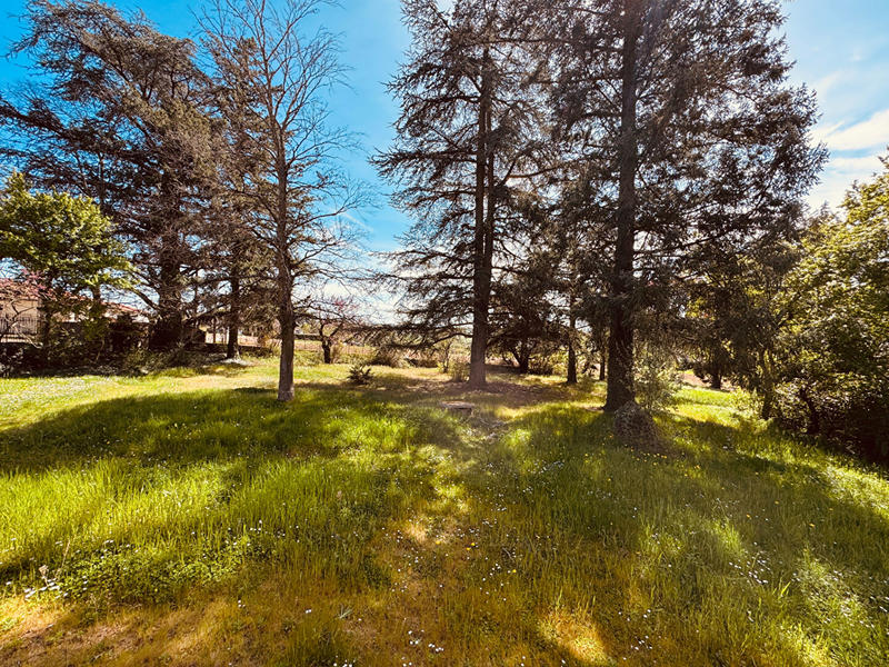 Maison - 451 m² - 10 pièces