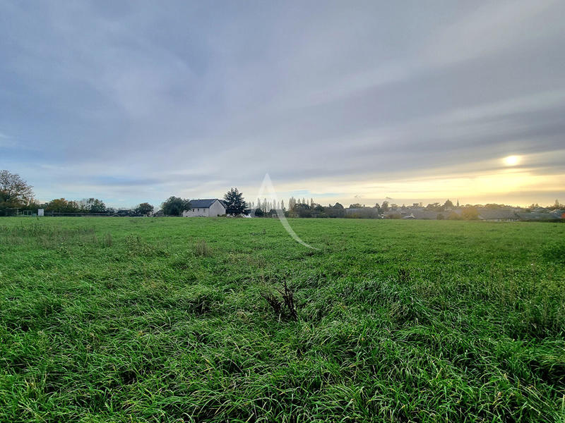 Terrain - 13 437 m²