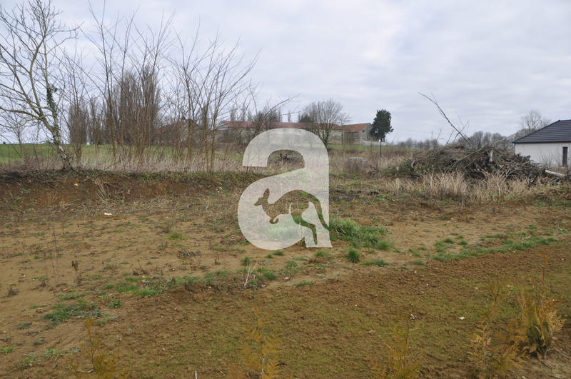Terrain - 1 200 m²