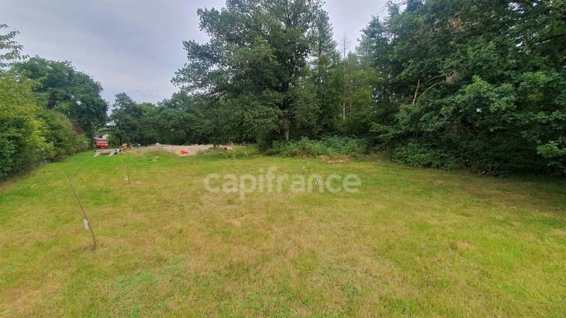 Terrain constructible - 4 043 m²