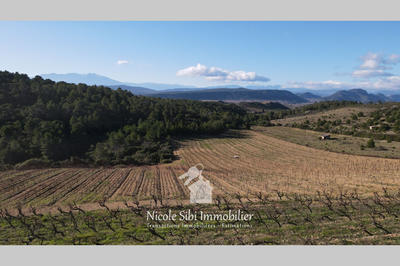 Terrain agricole - 41 295 m²