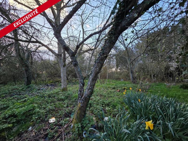 Maison en pierre - 100 m² - 3 pièces