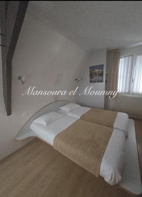 Hôtel particulier - 600 m² - 25 pièces