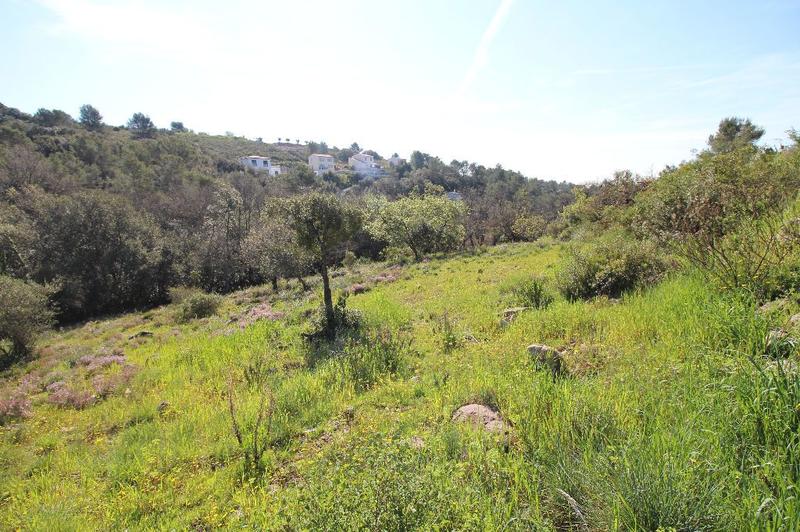 Terrain constructible - 7 309 m²