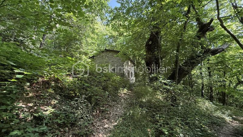 Terrain - 18 325 m²