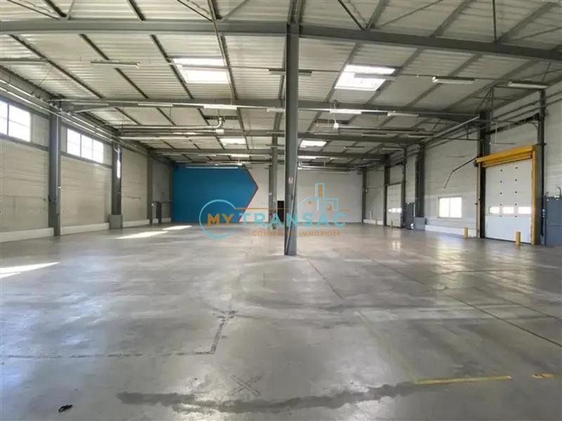 Local d'activité / Entrepôt - 1 375 m²