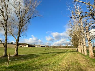 Maison de campagne - 160 m² - 5 pièces